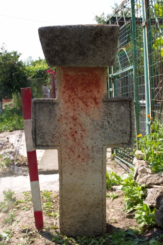 Cruce latină | Călugăreni