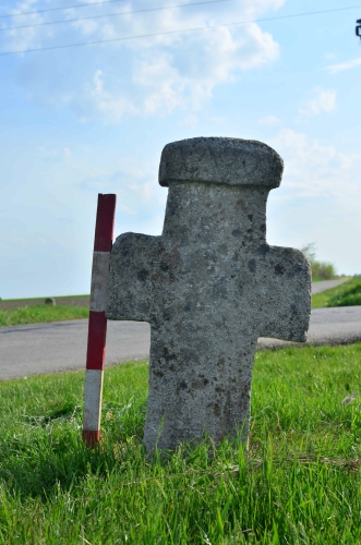 50 | CIREȘANU