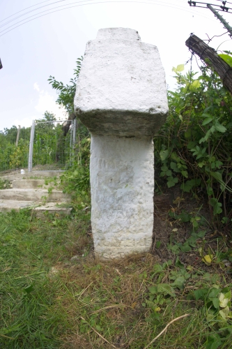 247 | TĂTARU