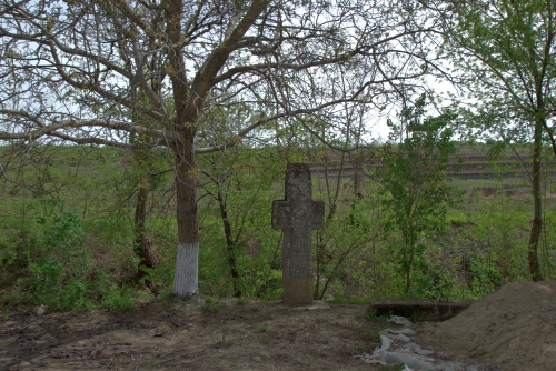 57 | VALEA ORLEI