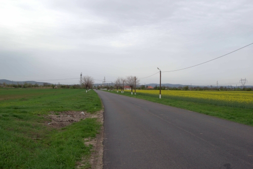 Cruce celtică | Colceag