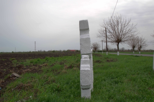 Cruce celtică | Colceag