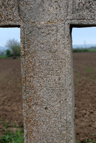 Cruce latină | Vadu Părului