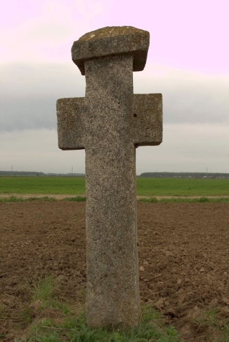 Cruce latină | Vadu Părului