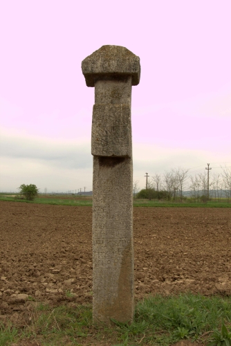 Cruce latină | Vadu Părului