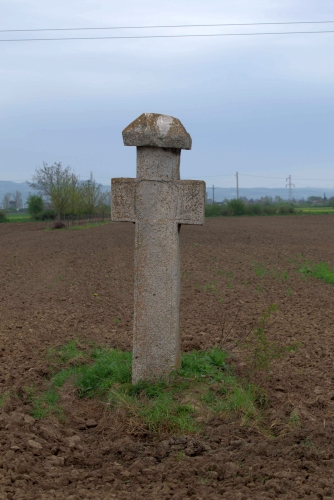 Cruce latină | Vadu Părului