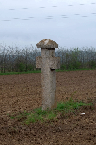 Cruce latină | Vadu Părului