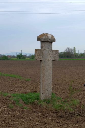Cruce latină | Vadu Părului
