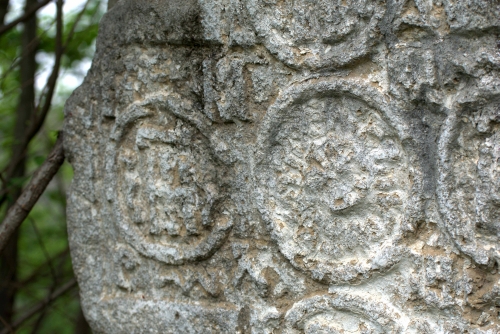Cruce latină | Urlați