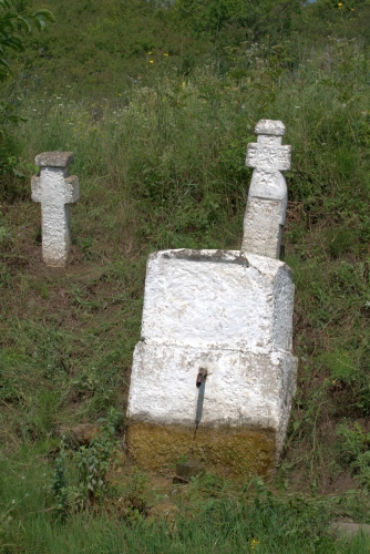155 | VALEA CUCULUI