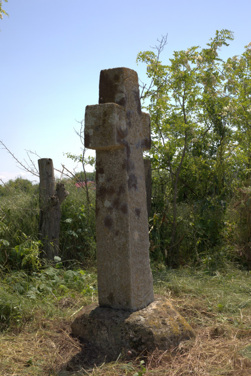Cruce latină | Găgeni