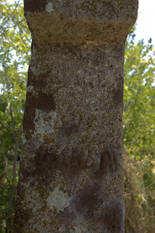 Cruce latină | Găgeni