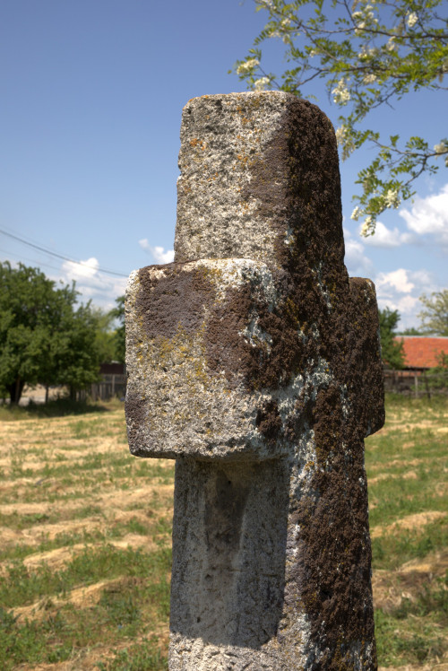 Cruce latină | Găgeni