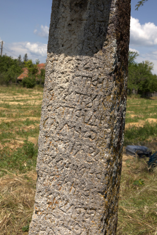 Cruce latină | Găgeni