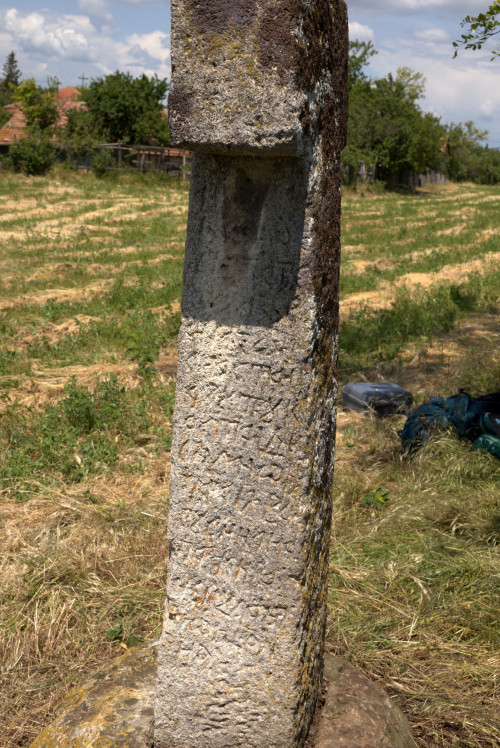 Cruce latină | Găgeni