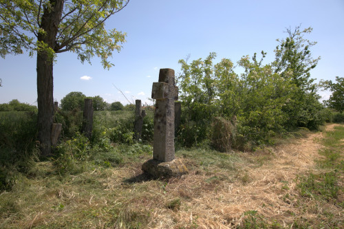 Cruce latină | Găgeni