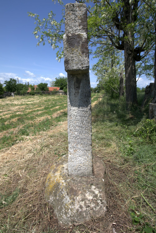 Cruce latină | Găgeni