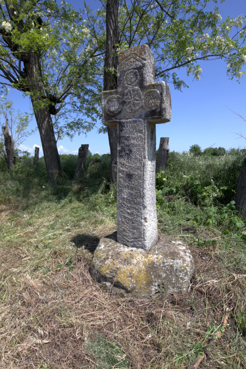 Cruce latină | Găgeni