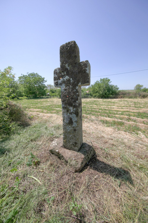 Cruce latină | Găgeni