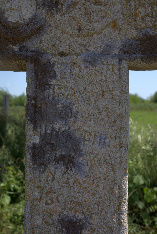Cruce latină | Găgeni