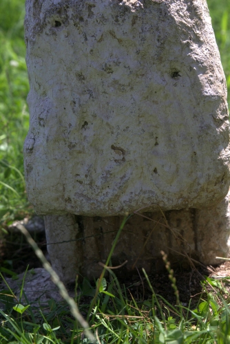 Cruce latină | Valea Dulce