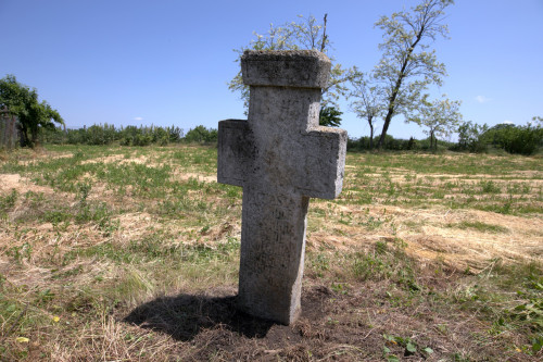 Cruce latină | Găgeni