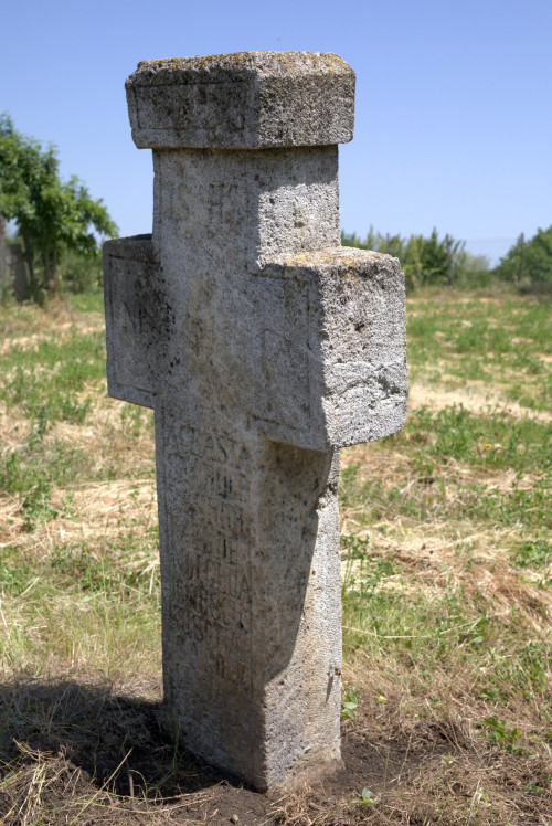 Cruce latină | Găgeni