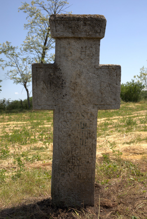 Cruce latină | Găgeni