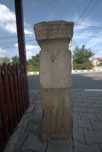 Cruce latină | Măgurele