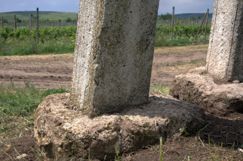 Cruce latină | Breaza