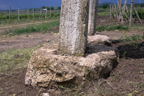 Cruce latină | Breaza