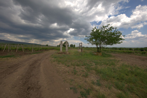 Cruce latină | Breaza