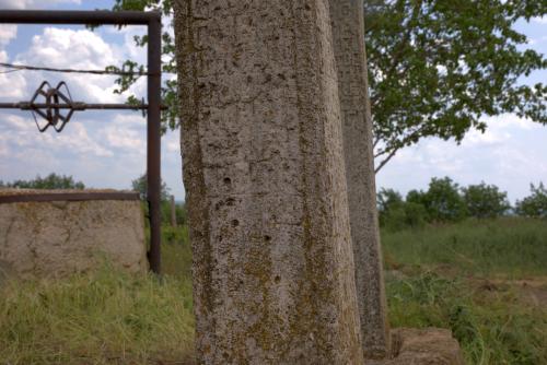 Cruce latină | Breaza