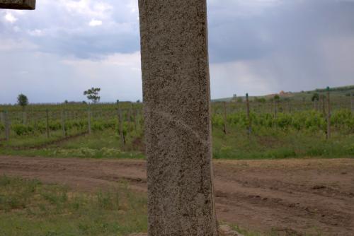 Cruce latină | Breaza