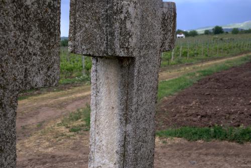 Cruce latină | Breaza