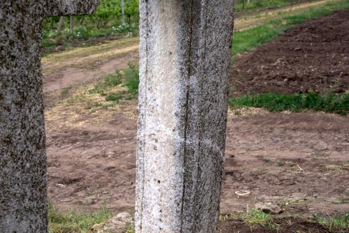Cruce latină | Breaza