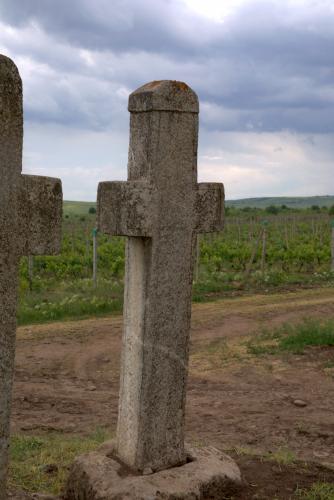 Cruce latină | Breaza