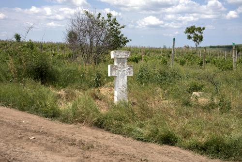 Cruce latină | Breaza