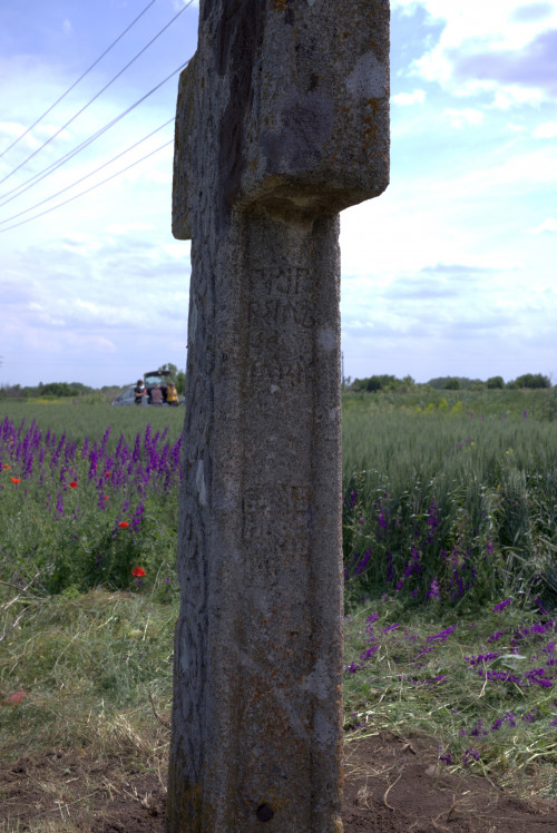 Cruce latină | Găgeni