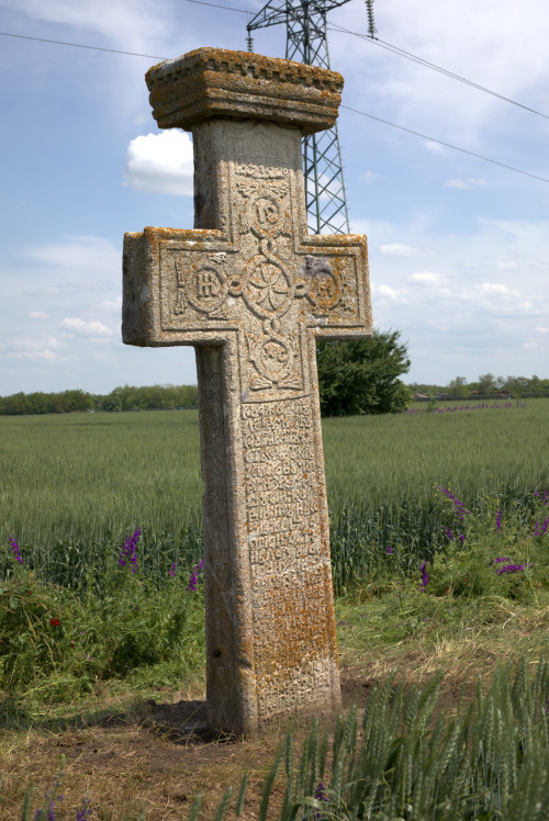 Cruce latină | Găgeni