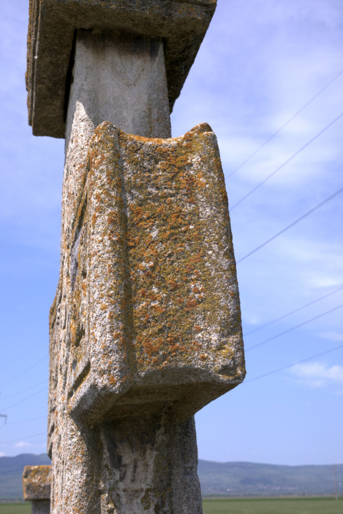 Cruce latină | Găgeni