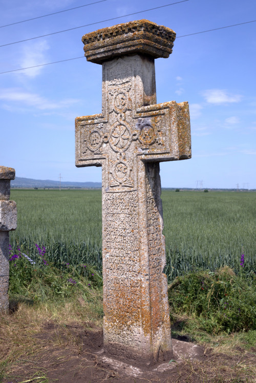 Cruce latină | Găgeni