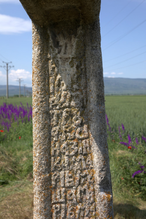 Cruce latină | Găgeni