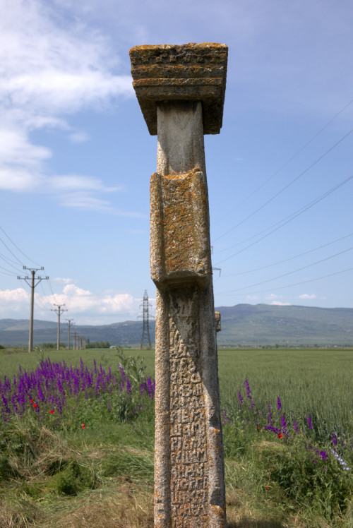 Cruce latină | Găgeni