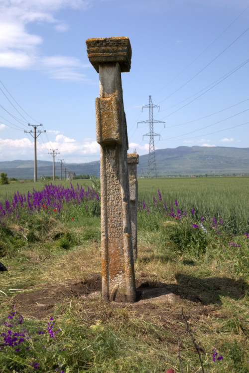 Cruce latină | Găgeni