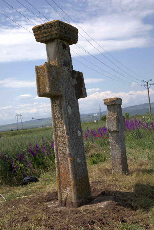Cruce latină | Găgeni