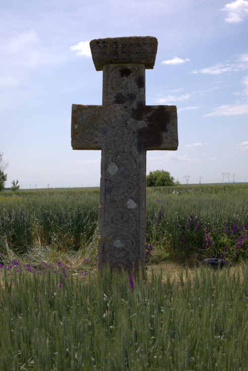 Cruce latină | Găgeni