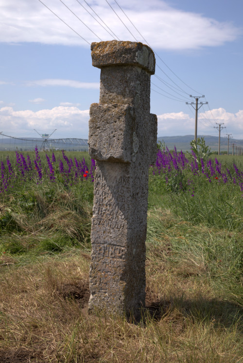 Cruce latină | Găgeni