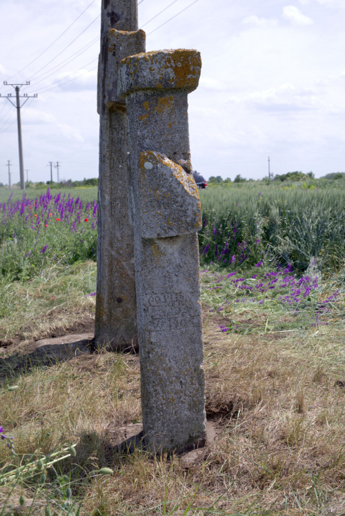Cruce latină | Găgeni