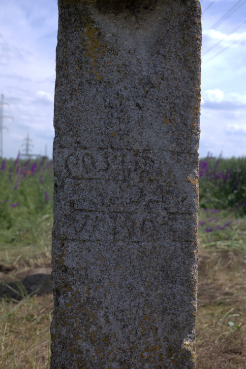 Cruce latină | Găgeni